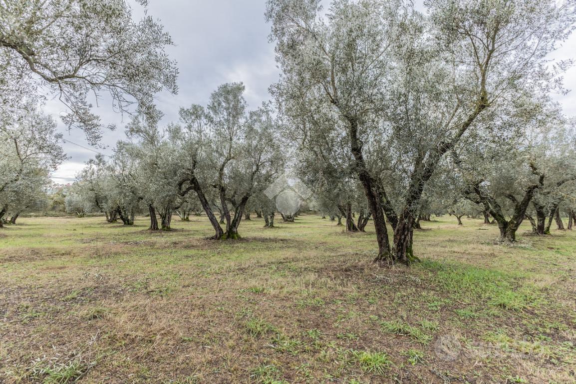 RUSTICO A VETRALLA - Vista 3
