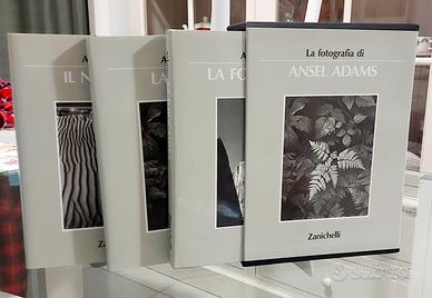 Ansel Adams libri