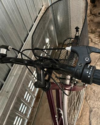 Bicicletta donna 26 pollici 6 rapporti