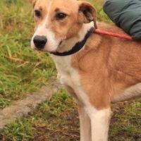 YURI una dolcezza unica