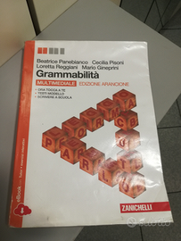 Libro Grammabilita' per scuole superiori