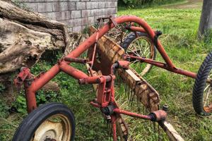 Ranghinatore BCS a pettine