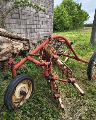 Ranghinatore BCS a pettine