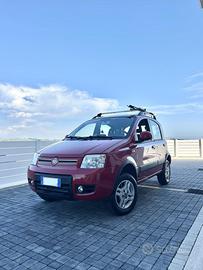 Panda 169 (seconda serie) 4x4 1.3 Multijet ELD