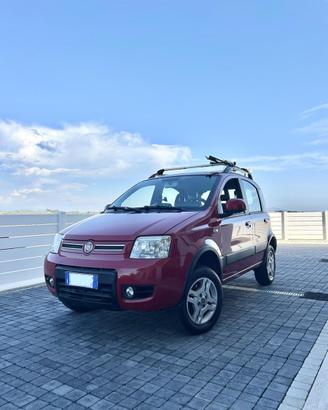 Panda 169 (seconda serie) 4x4 1.3 Multijet ELD
