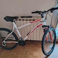 bicicletta BTW In Rock rider 340