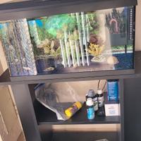 Acquario 60L