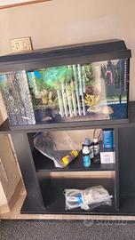 Acquario 60L