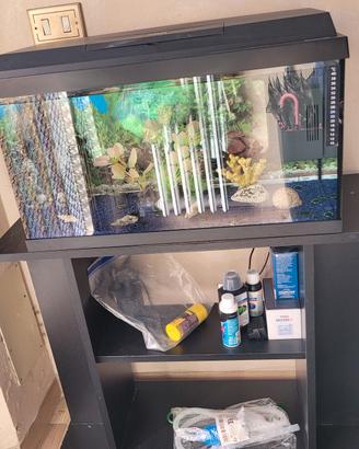 Acquario 60L