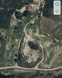 Complesso agricolo con casa e 14 ettari uliveto/bo