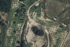 Complesso agricolo con casa e 14 ettari uliveto/bo