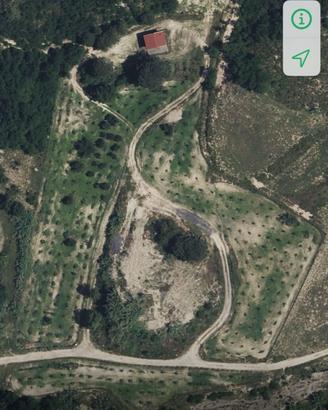 Complesso agricolo con casa e 14 ettari uliveto/bo