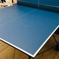 Tavolo ping pong