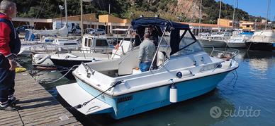 Fjord 24 Cabin-Volvo Penta AD41B/DP 200 CV Diesel