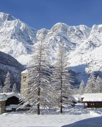 Macugnaga. Appartamento panoramico con giardino
