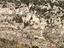 Immagine 11