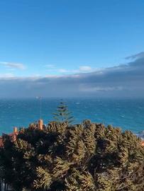 Sanremo , appartamento panoramico ,Corso Inglesi