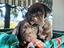 Immagine 1