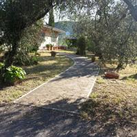 Terreno con olivi e villa