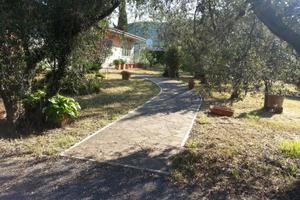 Terreno con olivi e villa