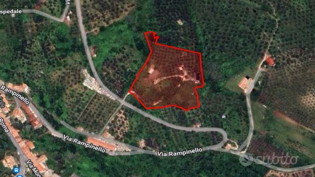 Terreno 1,5 ha con Azienda - Scandriglia RI Tr.335