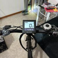 Bicicletta elettrica