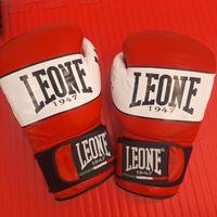 Guantoni da boxe Leone