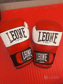 Guantoni da boxe Leone
