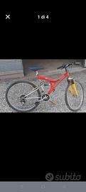 Bicicletta Mountain bike
