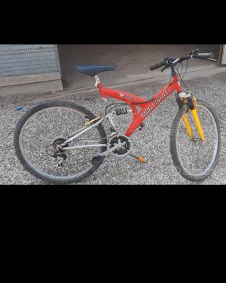 Bicicletta Mountain bike