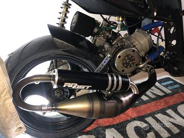 marmitta roost r5 piaggio