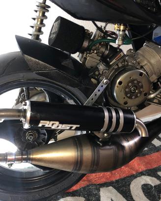 marmitta roost r5 piaggio