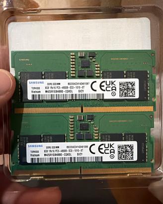 RAM Samsung DDR5 16GB (2x8GB) 4800MHz per Notebook