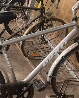 Bici GIANT uomo/donna  - City bike (FERRARA)