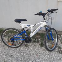 bicicletta
