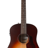 Chitarra Seagull Amplificata