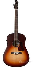 Chitarra Seagull Amplificata