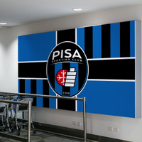 STRISCIONE PISA IN PVC 200X100CM -