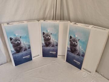 Completo matrimoniale Bassetti Nuovo