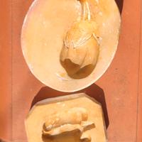 forma in gesso ortaggi 