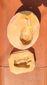 forma in gesso ortaggi 