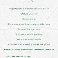 Azienda di giardinaggio - giardiniere