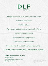 Azienda di giardinaggio - giardiniere