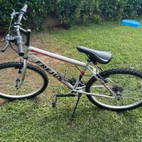 Bicicletta per ragazzi