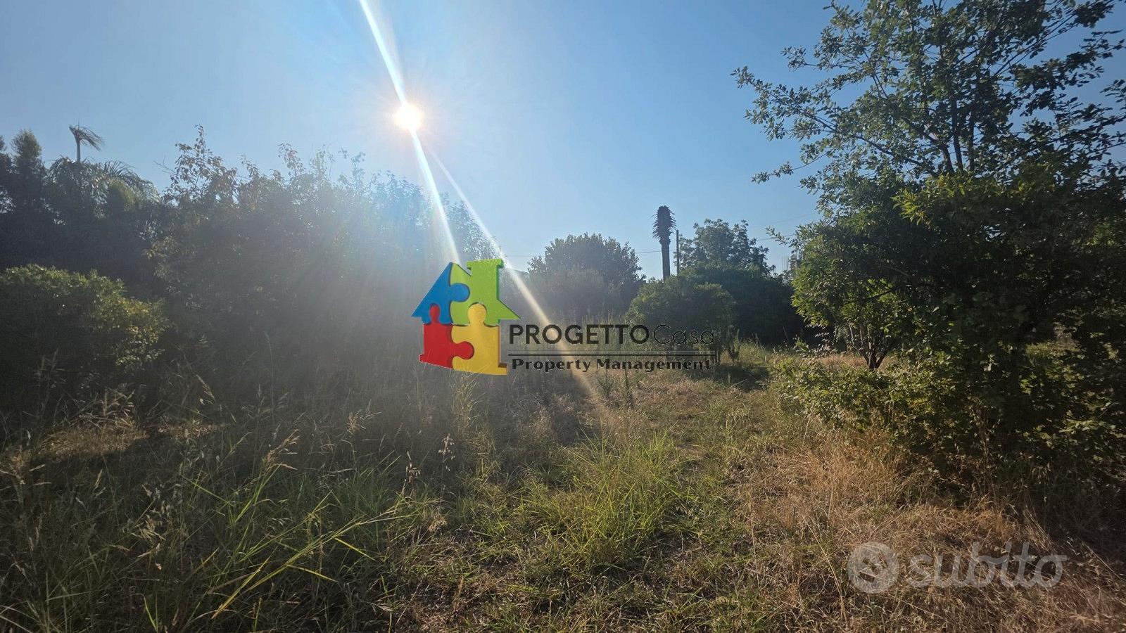 Gaggi: splendido agrumeto pianeggiante di 2.700 mq - Vista 4