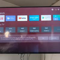 TV 55 Xiaomi android provincia di Rovigo 