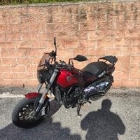 Benelli leoncino 500 - 2021
