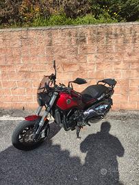 Benelli leoncino 500 - 2021