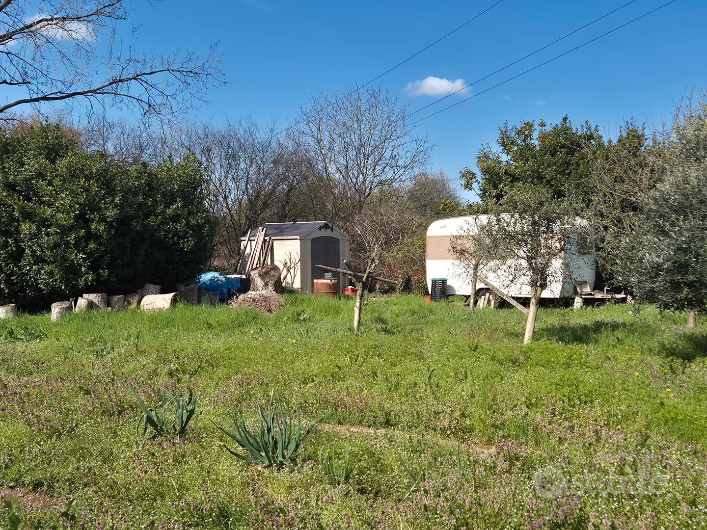 Terreno agricolo - Vista 4