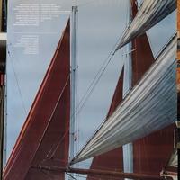 Manifesto/Poster  Venezia,  Vela  1989